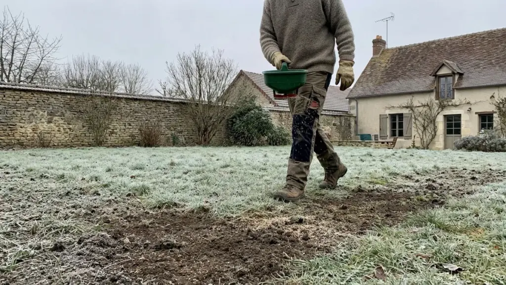 Semer sa pelouse en janvier : la technique surprenante qui fonctionne (mais gare au mauvais moment)
